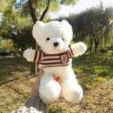  Gấu bông Teddy mặc áo siêu êm siêu mịn B1375 