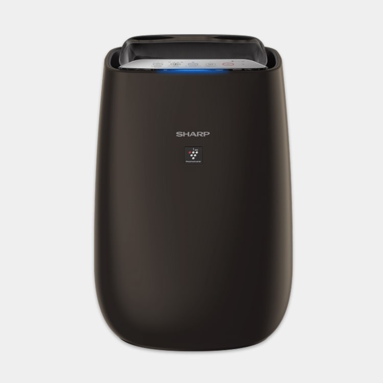 MÁY LỌC KHÔNG KHÍ SHARP FP-J50V-H ( J50V)