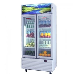 Tủ mát Inverter Sanaky 210 lít VH-218W3L