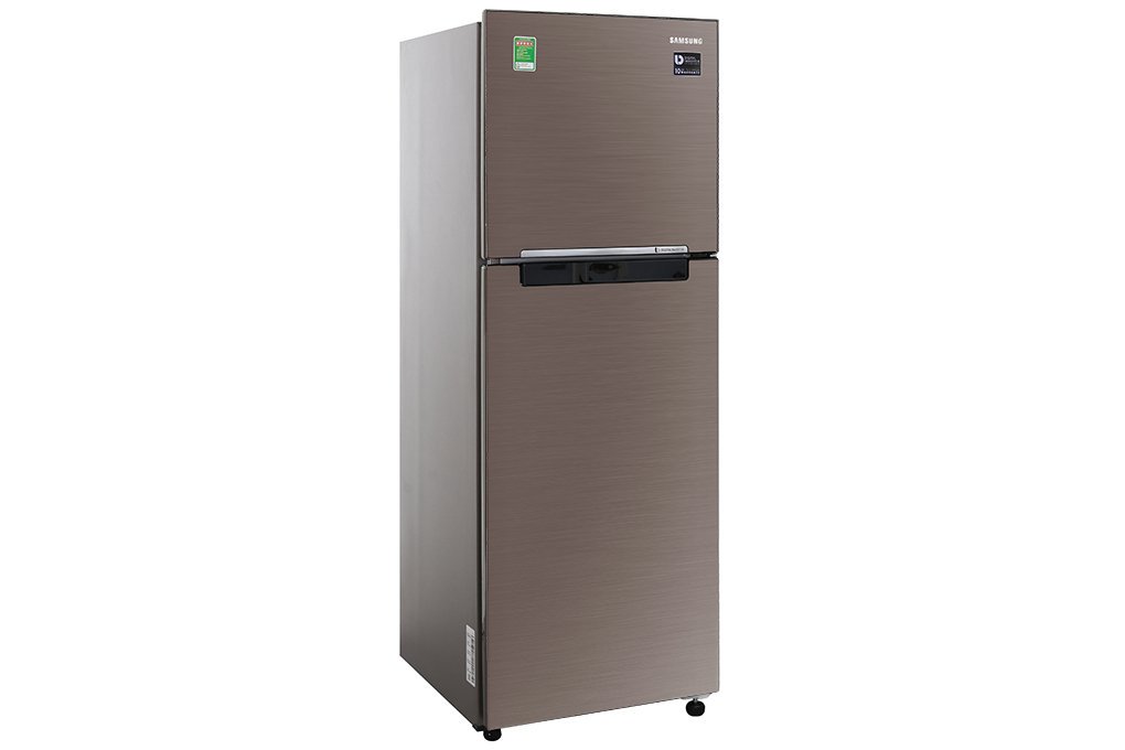 Tủ lạnh Samsung Inverter 236 lít RT22M4040DX/SV