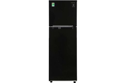 Tủ lạnh Samsung Inverter 256 lít RT25M4032BU/SV
