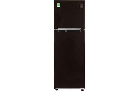Tủ lạnh Samsung Inverter 256 lít RT25M4032BY/SV