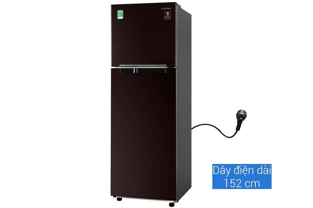 Tủ lạnh Samsung Inverter 256 lít RT25M4032BY/SV