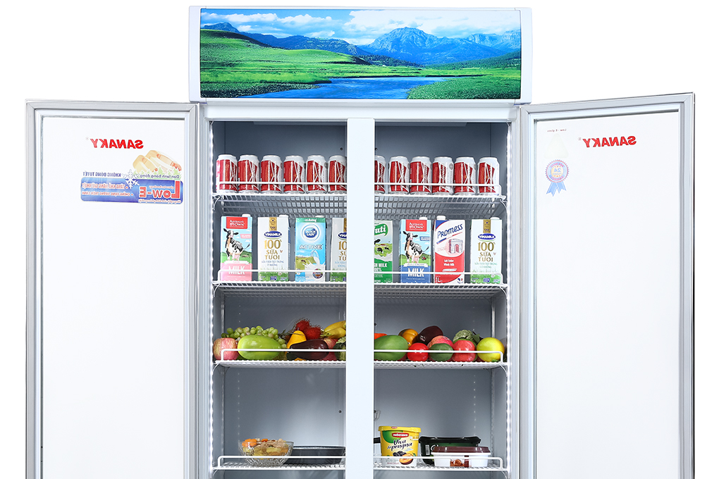 Tủ mát Sanaky VH-1009HP 900 lít