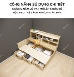 giuong-ngu-ket-hop-tu-ke-sach-gdn-ks05