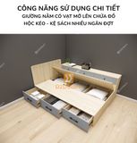 giuong-ngu-ket-hop-tu-ke-sach-gdn-ks06