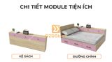 giuong-ngu-ket-hop-tu-ke-sach-gdn-ks06