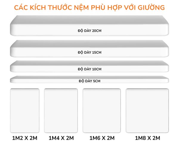 Giường ngủ kết hợp tủ kệ sách GDN.KS07