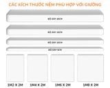 giuong-keo-2-tang-me-bong-con-gdn-mc02