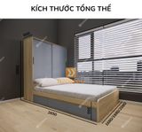 giuong-ngu-ket-hop-tu-ao-gdn-ta07