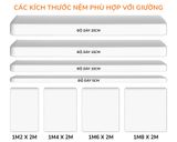 giuong-ngu-ket-hop-ban-hoc-tu-ao-gdn-bt15