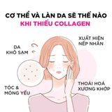  Viên Uống Collagen DHC Chống Lão Hóa Giảm Nếp Nhăn 