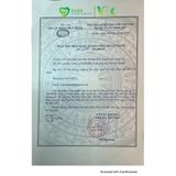  Viên Uống Hỗ Trợ Giảm Triệu Chứng Đi Tiểu Nhiều Lần, Tiểu Đêm Do Thận Yếu 
