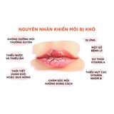  Son Dưỡng DHC Lip Cream Dưỡng Ẩm Làm Mềm Môi Ngừa Thâm Môi Ngăn Lão Hóa 