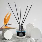 Bộ tinh dầu tán hương Himalaya Caribbean Teakwood