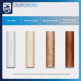Bộ tiền lọc trầm tích Philips AWP1811