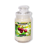 Nến Thơm Himalaya Black Cherry (2 bấc)