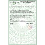 Viên Uống Bổ Mắt Support Eye Clear Green+ Cho Đôi Mắt Sáng Khỏe Dài Lâu