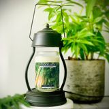 Đèn treo sử dụng điện kiểu cổ điển