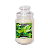 Nến Thơm Himalaya Green Tea (2 bấc)