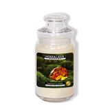 Nến Thơm Himalaya Oakmoss & Amber (2 bấc)