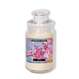 Nến Thơm Himalaya Sakura (2 bấc)