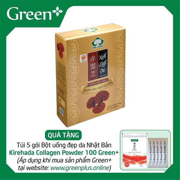 Xích Linh Chi Nhật Cắt lát 100g