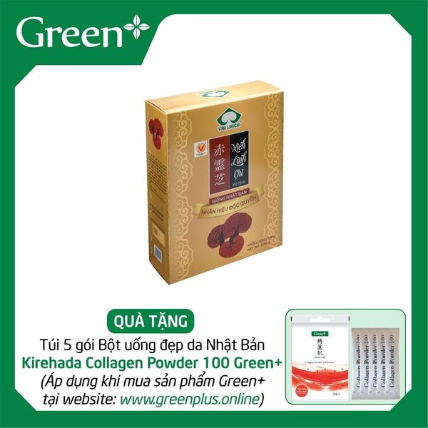 Xích Linh Chi Nhật Thượng Hạng Cắt Lát 500g