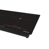 BẾP ĐÔI ĐIỆN TỪ PANWORLD PW-1981