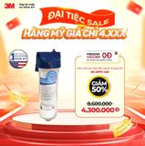 (III) Bộ Lọc Tổng Đầu Nguồn Trong Suốt 3M 10