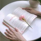  Sách - Đường Về Chân Hạnh Phúc - Tác giả: Như Nhiên Thích Tánh Tuệ 