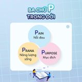  Sách - Quản Trị Cảm Xúc - Tác giả Naz Beheshti 