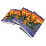  Sách - Thực Hành Bốn Thỏa Ước - Tác giả Janet Mills , don Miguel Ruiz 