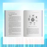  Sách - Lý Thuyết Kinh Tế Phương Tây Hiện Đại - Tác giả: TS. Hồ Quế Hậu 