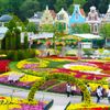 KHÁM PHÁ MÙA THU HÀN QUỐC: SEOUL - NAMI - EVERLAND (5N4Đ) BAY T'WAY