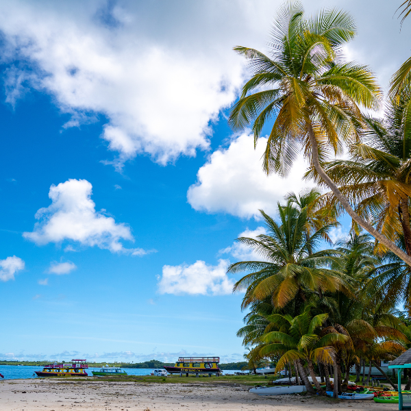 ĐẢO NGỌC PHÚ QUỐC