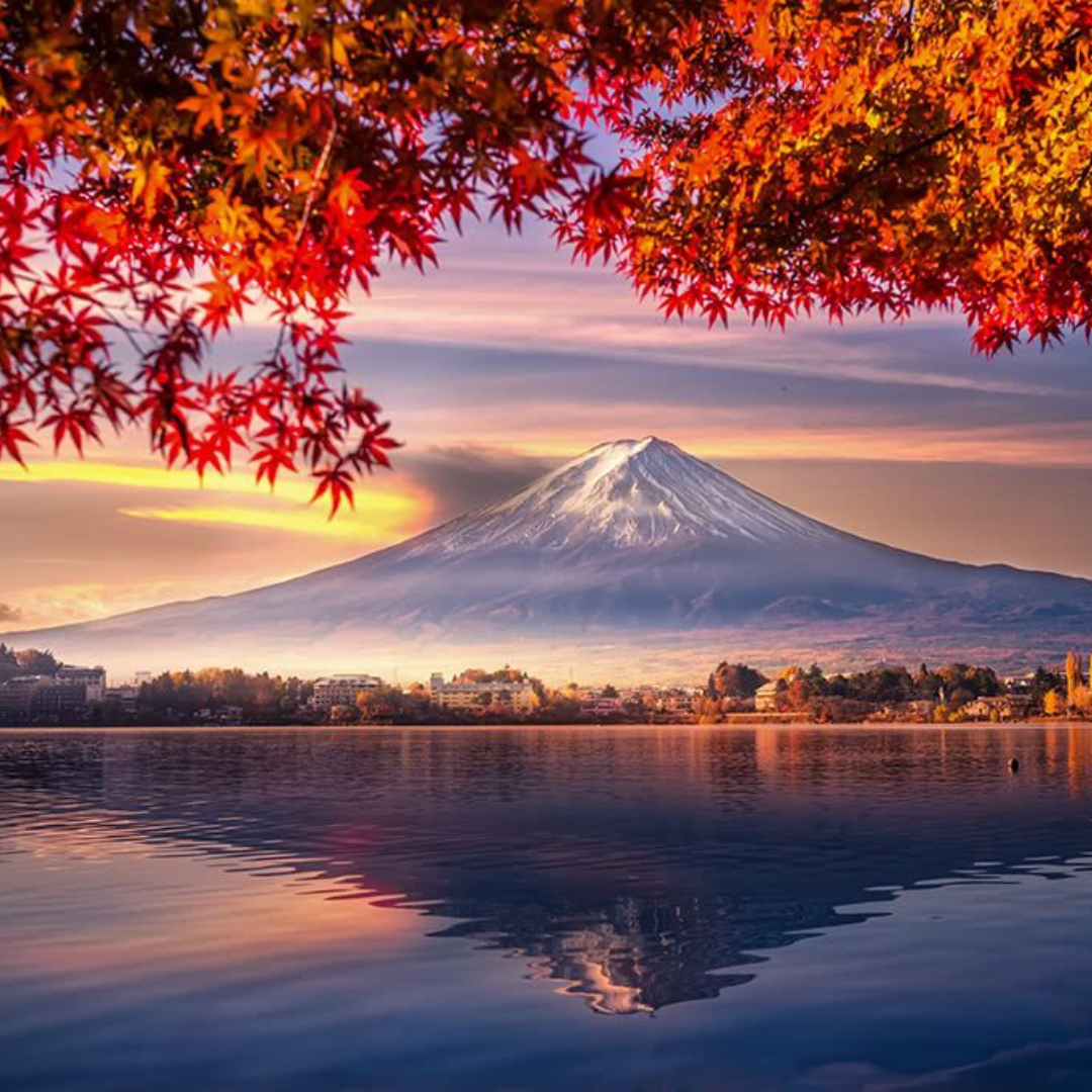 MÙA THU NHẬT BẢN: NARITA - YAMANASHI - TOKYO (5N4Đ) BAY VIETNAM AIRLINES