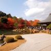 KHÁM PHÁ MÙA THU LÁ ĐỎ NHẬT BẢN: NARITA - TOKYO - YAMANASHI - TOYOHASHI - KANSAI (6N5Đ) BAY VIETNAM AIRLINES