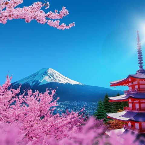 [MÙA HOA ANH ĐÀO 2025] NHẬT BẢN: Cung đường vàng OSAKA – MATSUMOTO – TOKYO