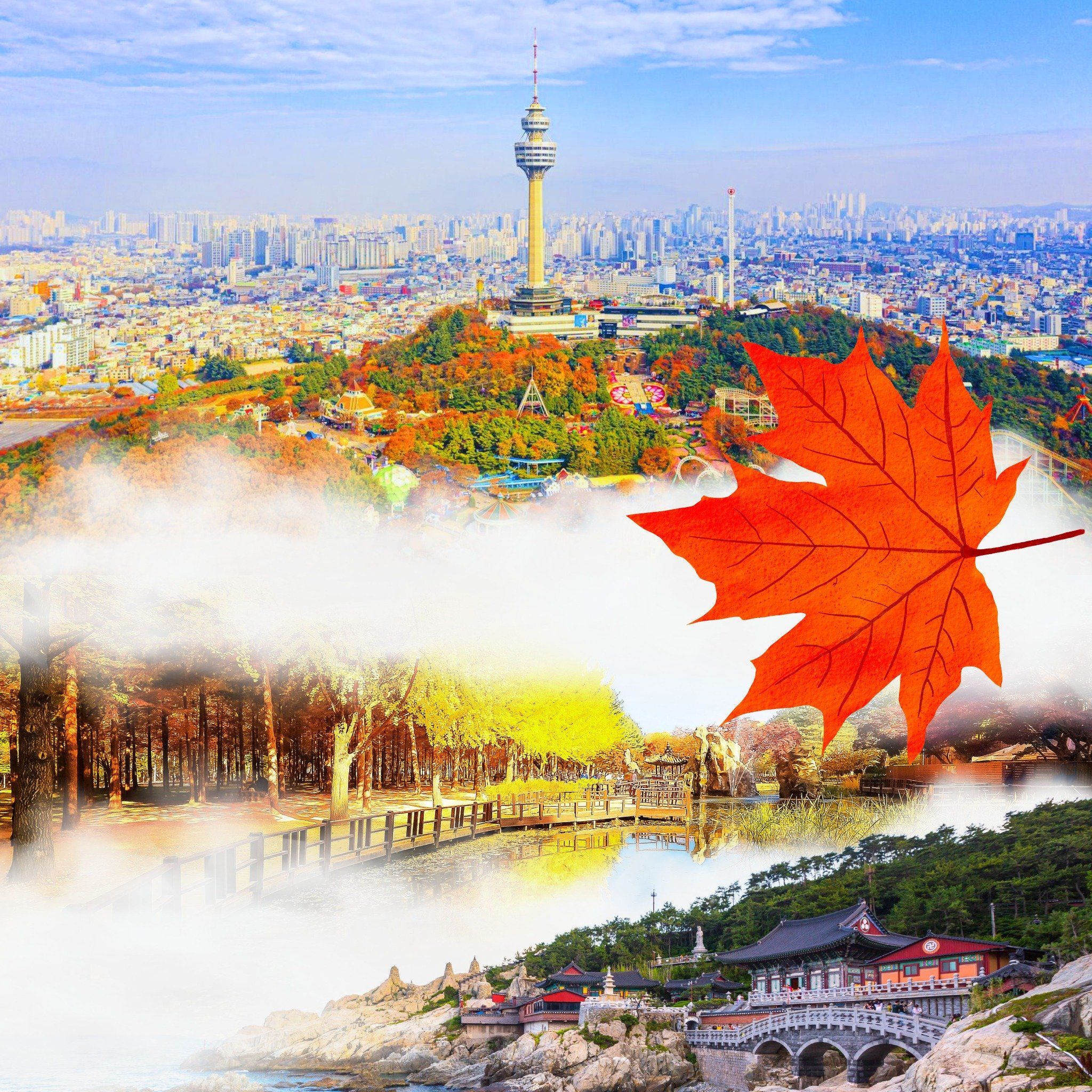 (Cập nhật mới) MÙA THU BUSAN BAY VNA