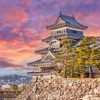 Khám phá Nhật Bản: Mùa hoa chi anh TOKYO - SHIBUYA - YAMANASHI