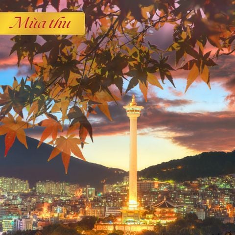 Mùa thu Hàn Quốc: BUSAN - DAEGU - SEOUL