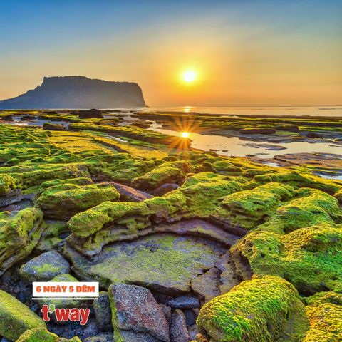 Hàn Quốc mùa hè: SEOUL - JEJU - NAMI - EVERLAND