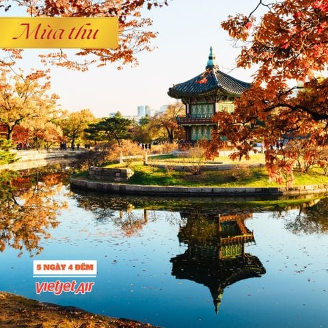 Hàn Quốc mùa thu: SEOUL - NAMI - EVERLAND