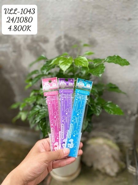 Thước kẻ Việt Lợi nhựa PS in 2 màu VLL-1043 (24/1080