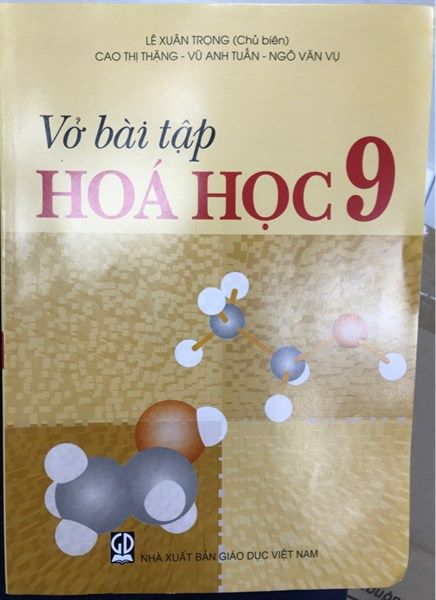 Vở bài tập hoá học 9 NXB GD VN