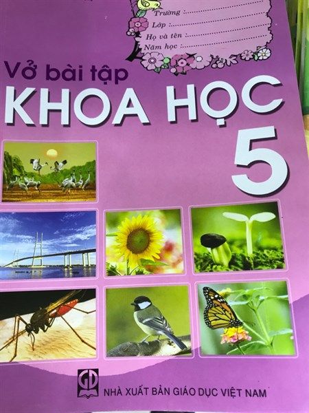 Vở bài tập khoa học 5 N9