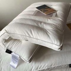  1 đôi Ruột gối thấp sợi lông vũ 50*70cm 