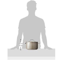  Bộ nồi WMF Fusiontec Mineral 4 chiếc màu nâu (3 nồi, 1 quánh) 