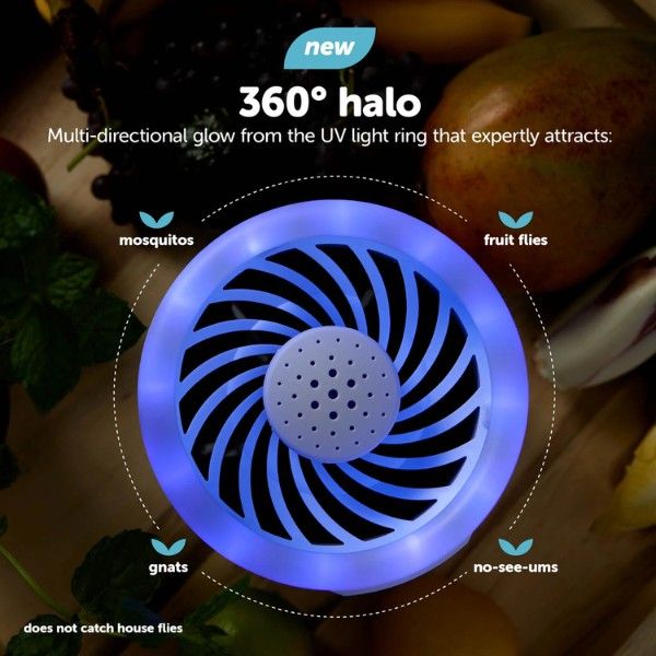 Đèn bắt muỗi Katchy Duo 2 trong 1 với 5 chế độ quạt